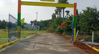 chengalpattu plot for Sale at  jayam nagar