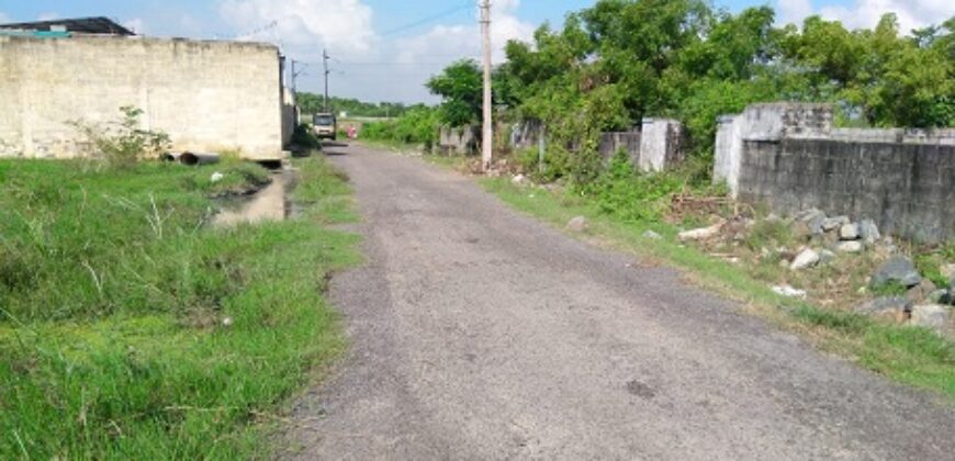 Dtcp approved  plot in guduvancheri